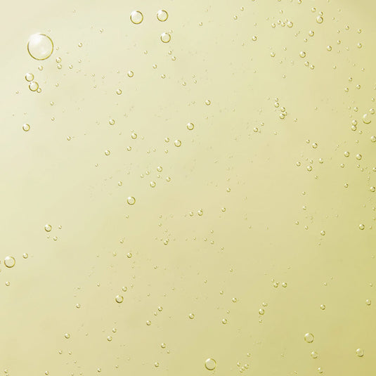 Signature Hand Collection