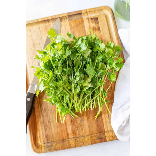 Fresh Green and Vibrant Cilantro, Bunch
